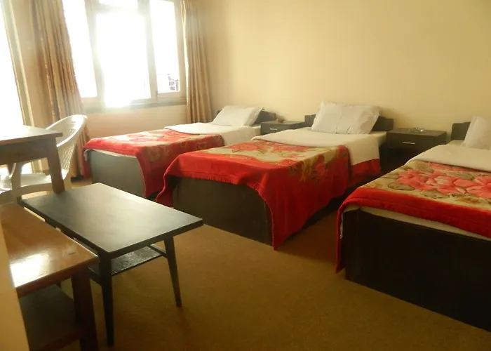 Om Tara Pvt Ltd 3*